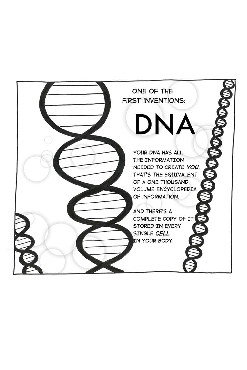 (Cartoon of the DNA double helix.) CS: One of the first inventions: DNA. Your DNA has all the information needed to create you. That's the equivalent of a one thousand volume encyclopedia of information, and there's a complete copy of it stored in every single cell in your body.