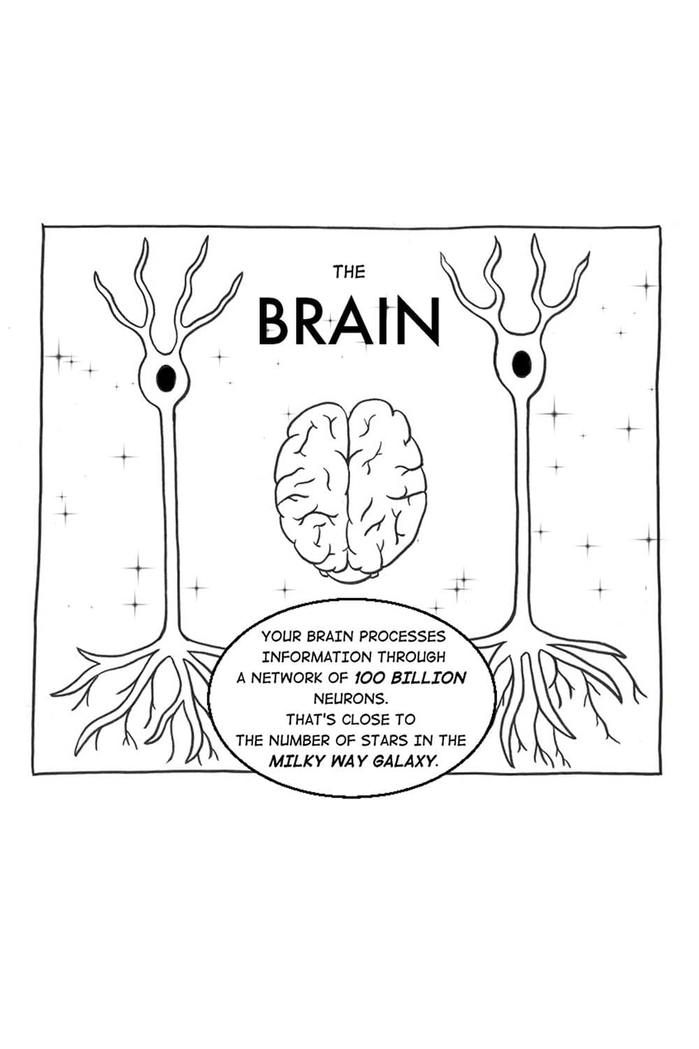 (Cartoon of a brain side by side with cartoons of neurons.) CS: The brain! Your brain processes information through a network of 100 billion neurons. That's close to the number of stars in the milky way galaxy.