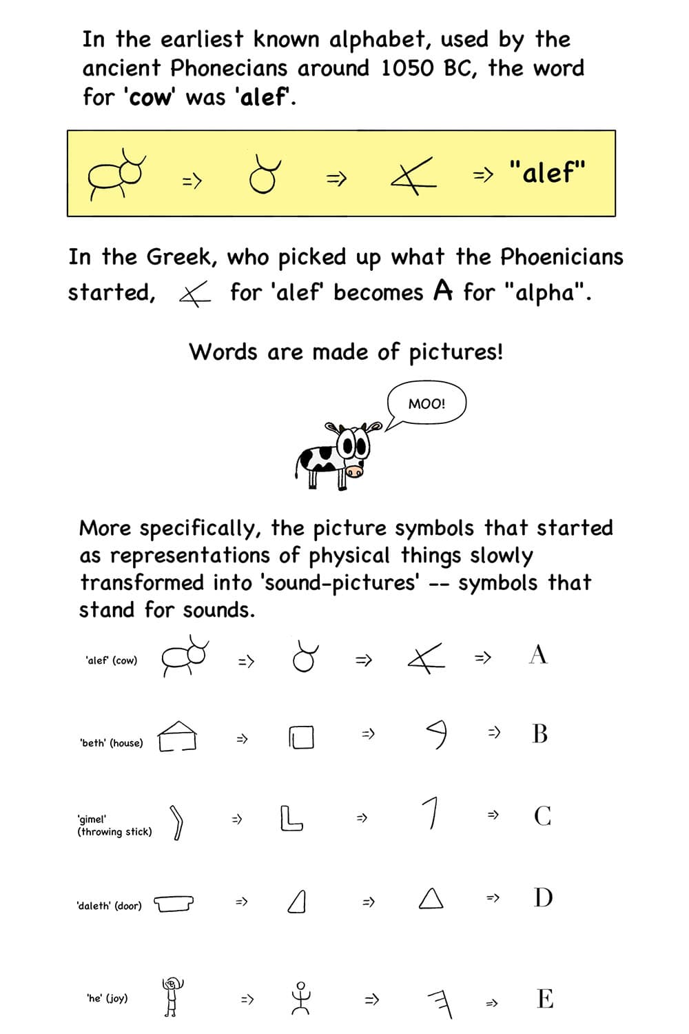 13 - Thoth: In the earliest known alphabet, used by the ancient Phonecians around 1050 BC, the word for 'cow' was 'alef'. In the Greek, who picked up what the Phoenicians started, the symbol for 'alef' becomes 'A' for 'alpha'. Words are made of pictures! 14 - (Chart showing examples of letters and how they evolved from simple pictures.) Thoth: More specifically, the picture symbols that started as representations of physical things slowly transformed into 'sound-pictures' -- symbols that stand for sounds.